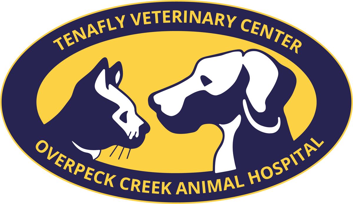 Joint hospital logo for Overpeck & Tenafly